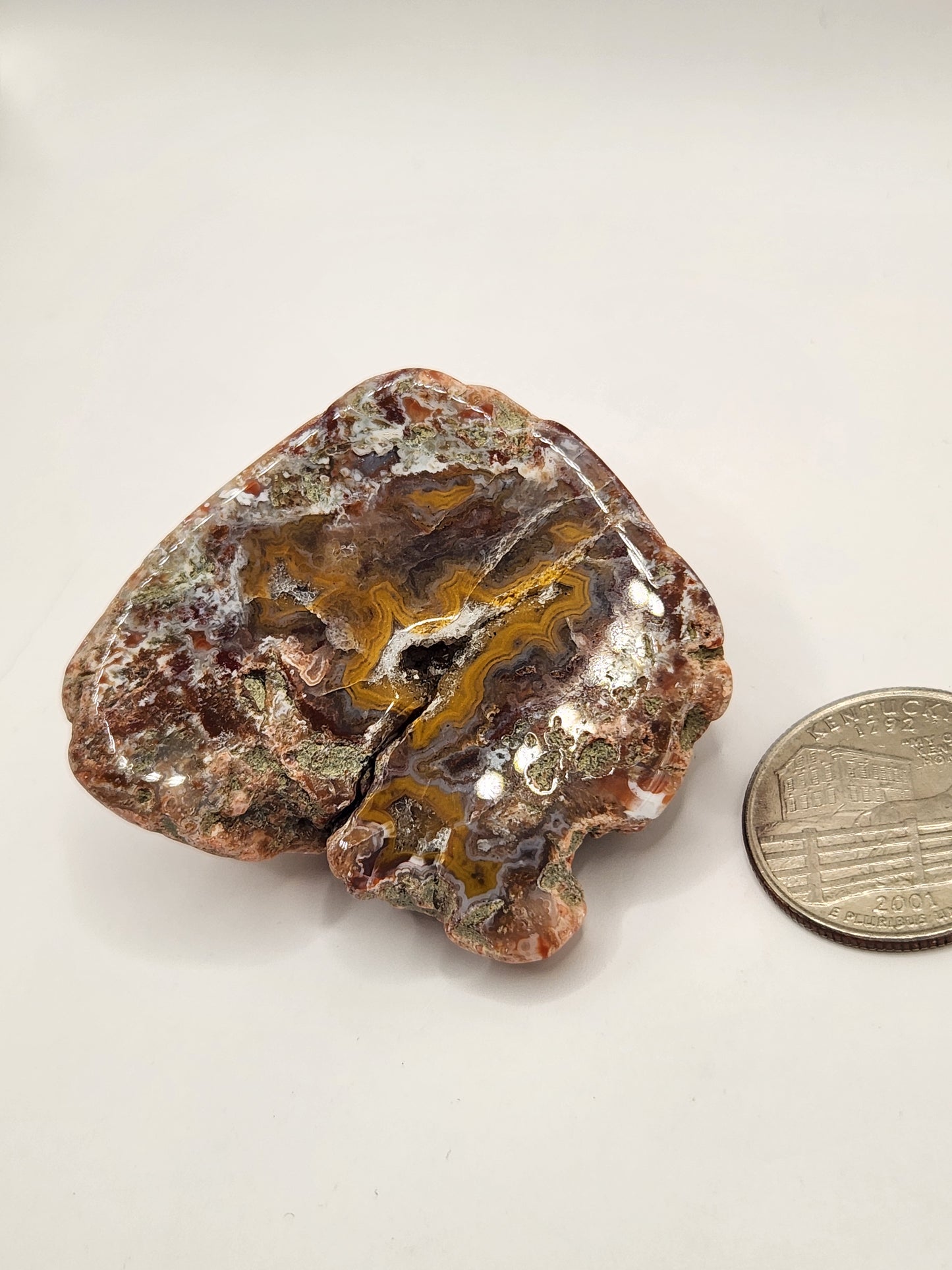 Tumbled Kentucky Agate Nodule