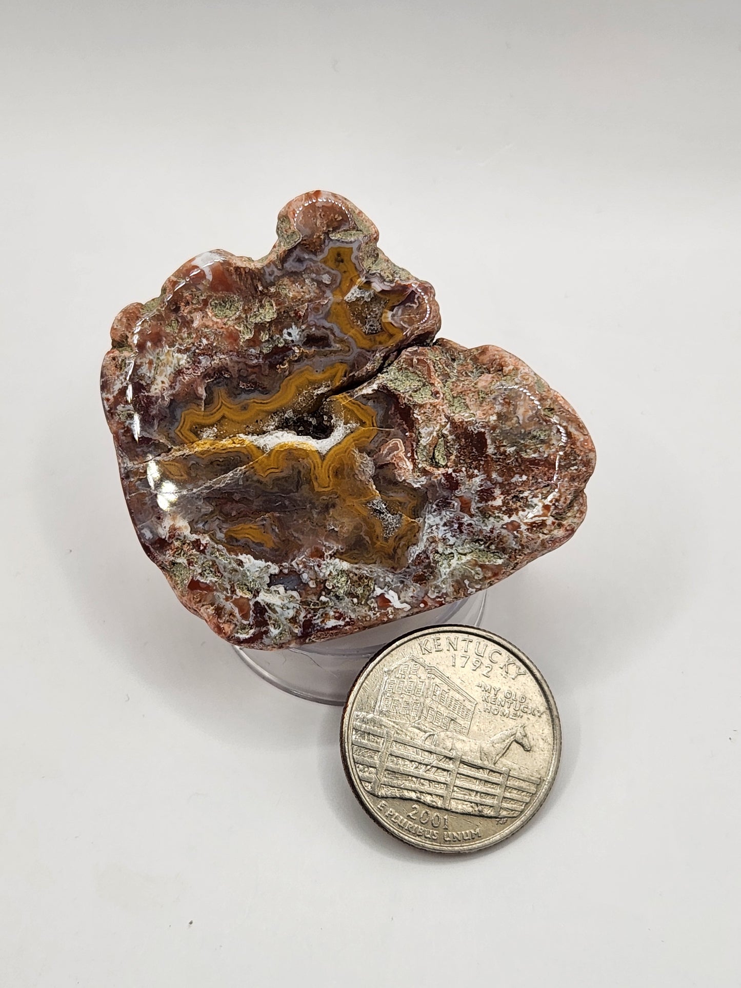 Tumbled Kentucky Agate Nodule
