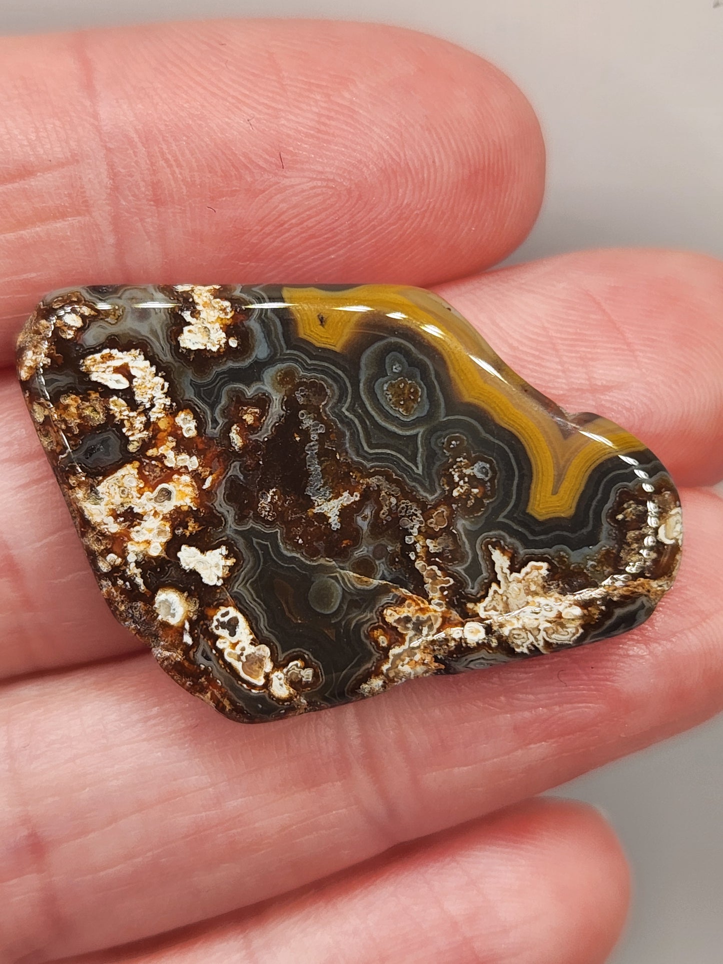 Kentucky Agate Tumble