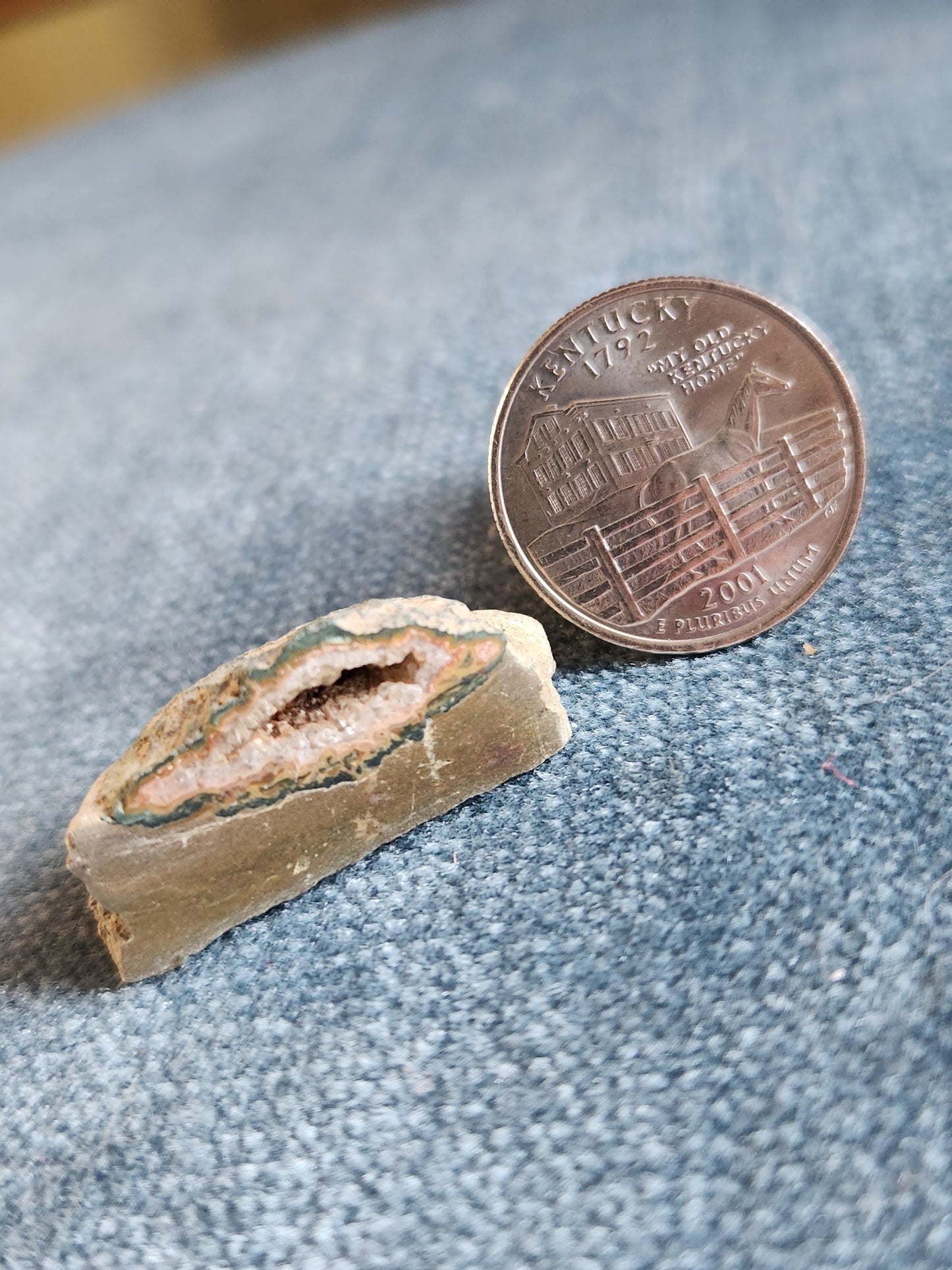 Kentucky Agate - Polished Mini in Matrix