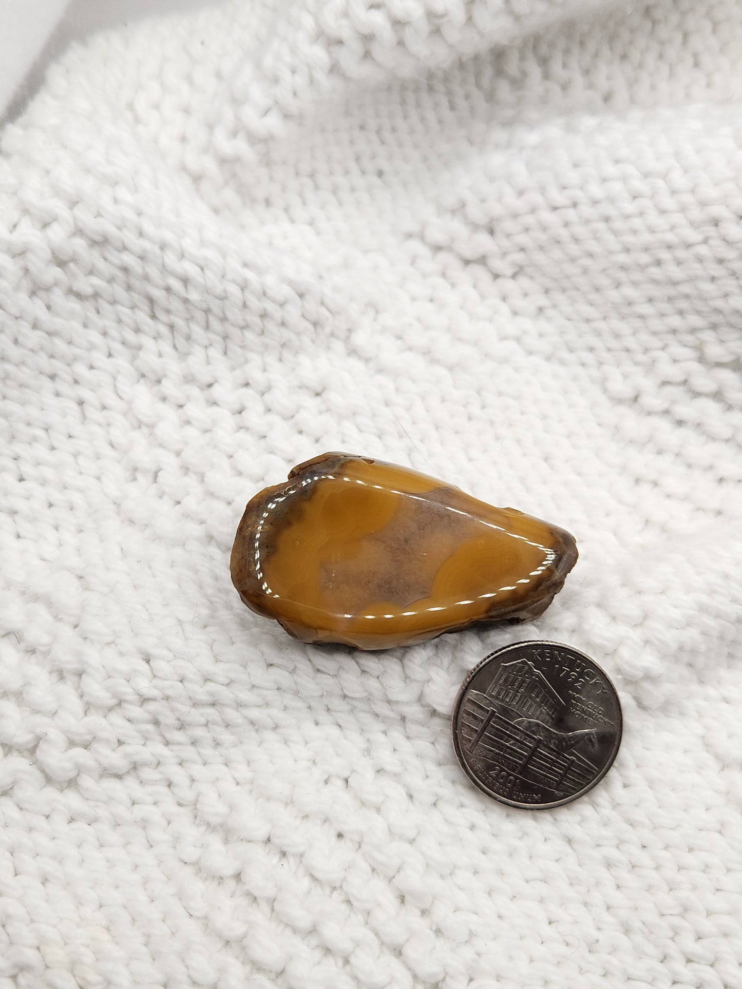 Polished Kentucky Agate