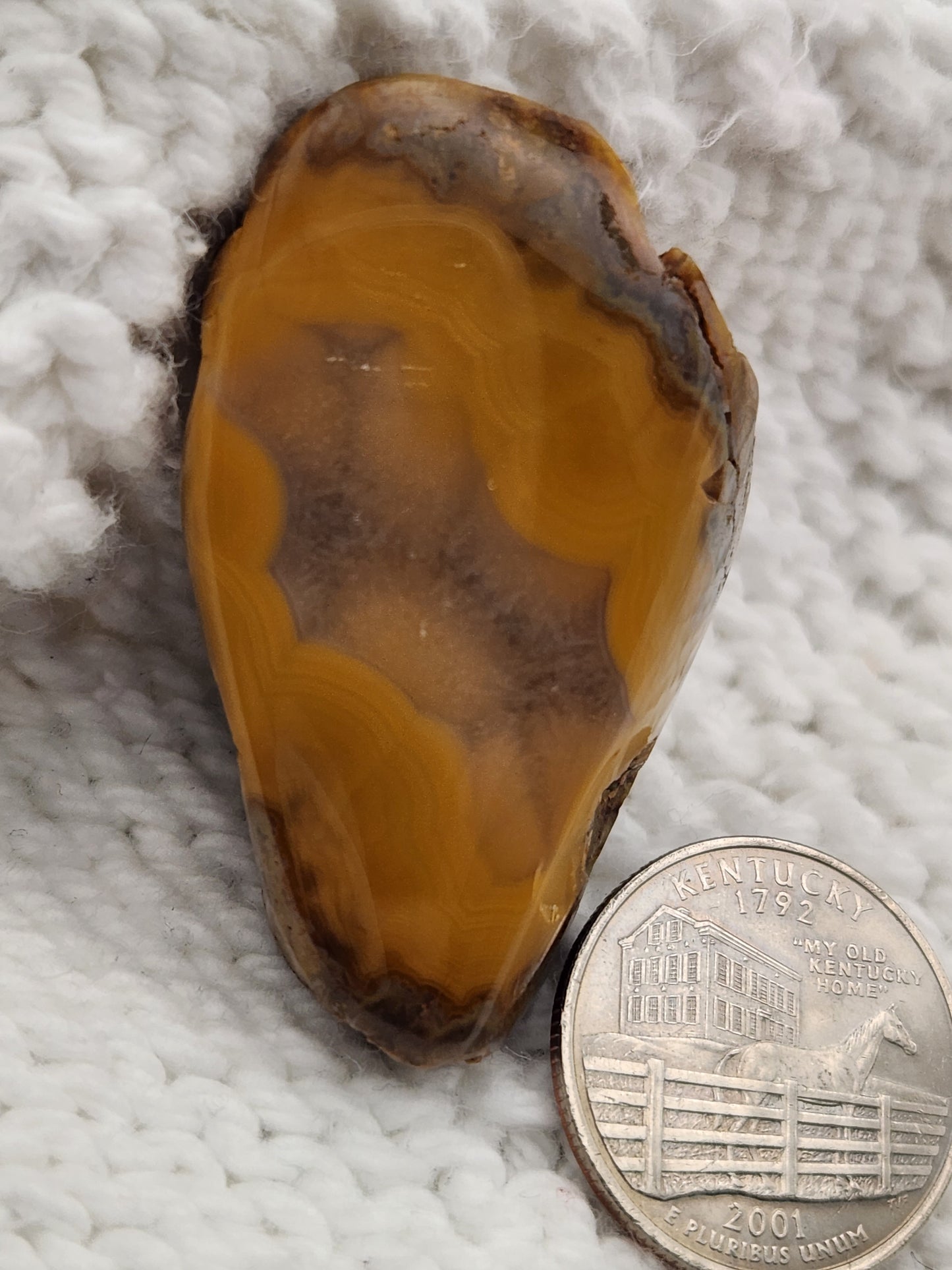 Polished Kentucky Agate