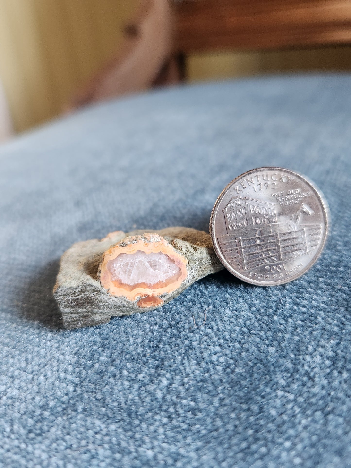 Kentucky Agate  - Polished Mini in Matrix