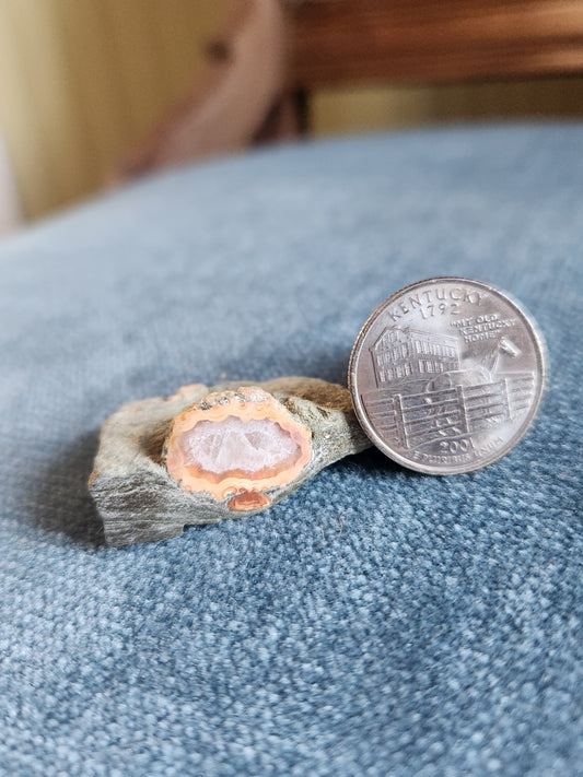 Kentucky Agate  - Polished Mini in Matrix