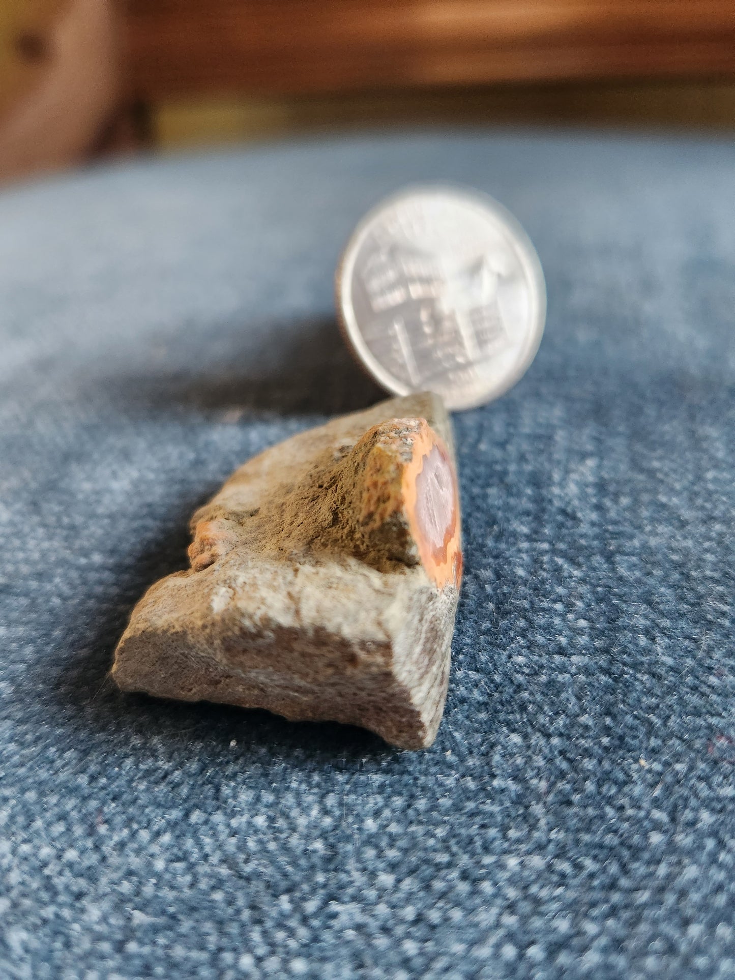 Kentucky Agate  - Polished Mini in Matrix