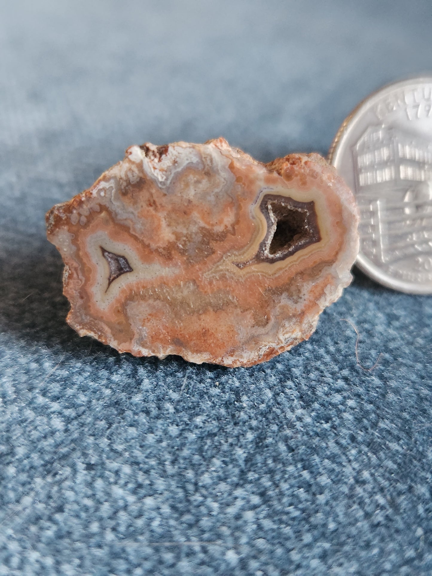 Kentucky Agate - Polished Mini