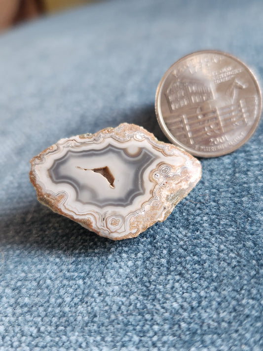 Kentucky Agate - Polished Mini