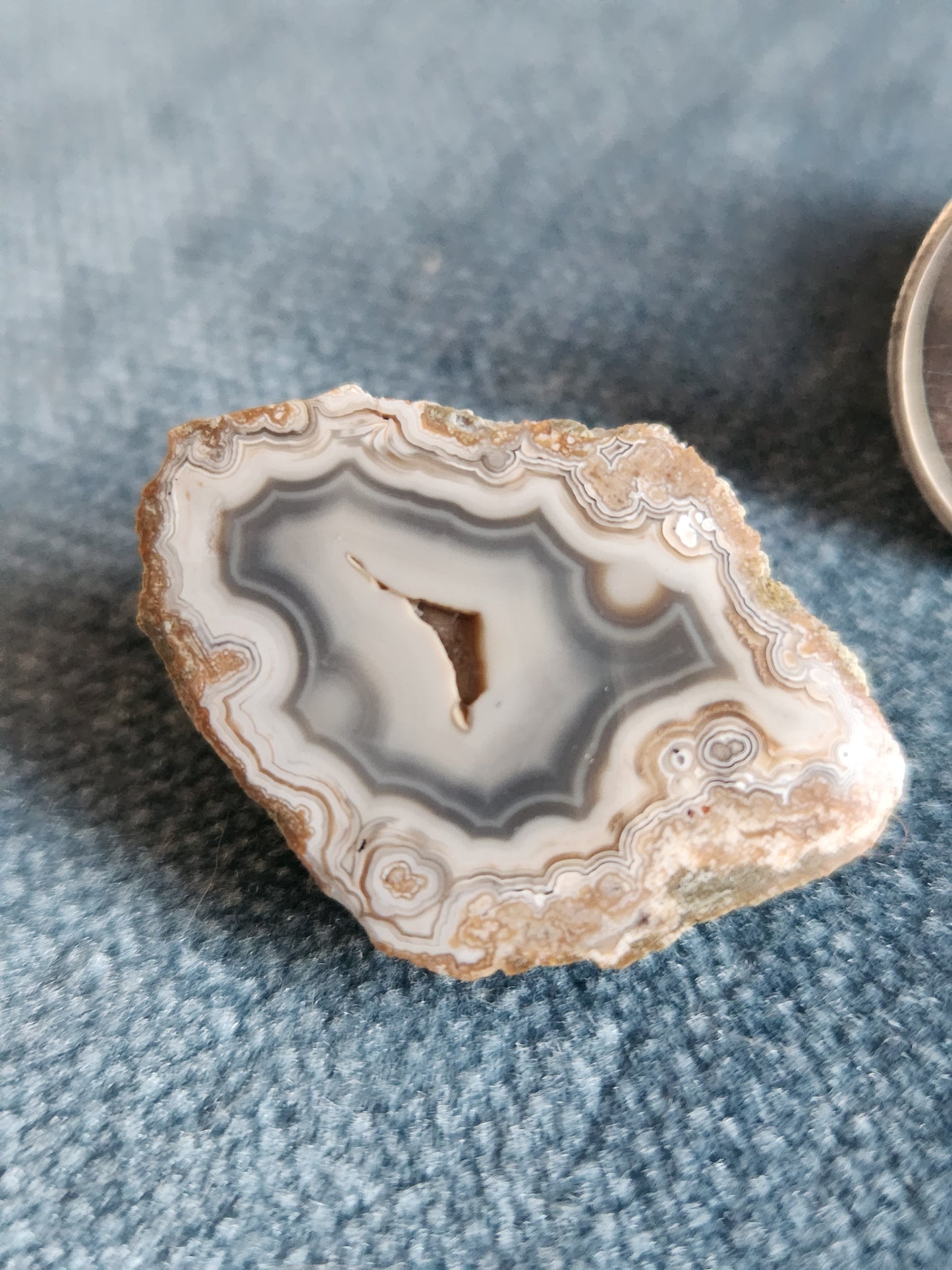 Kentucky Agate - Polished Mini