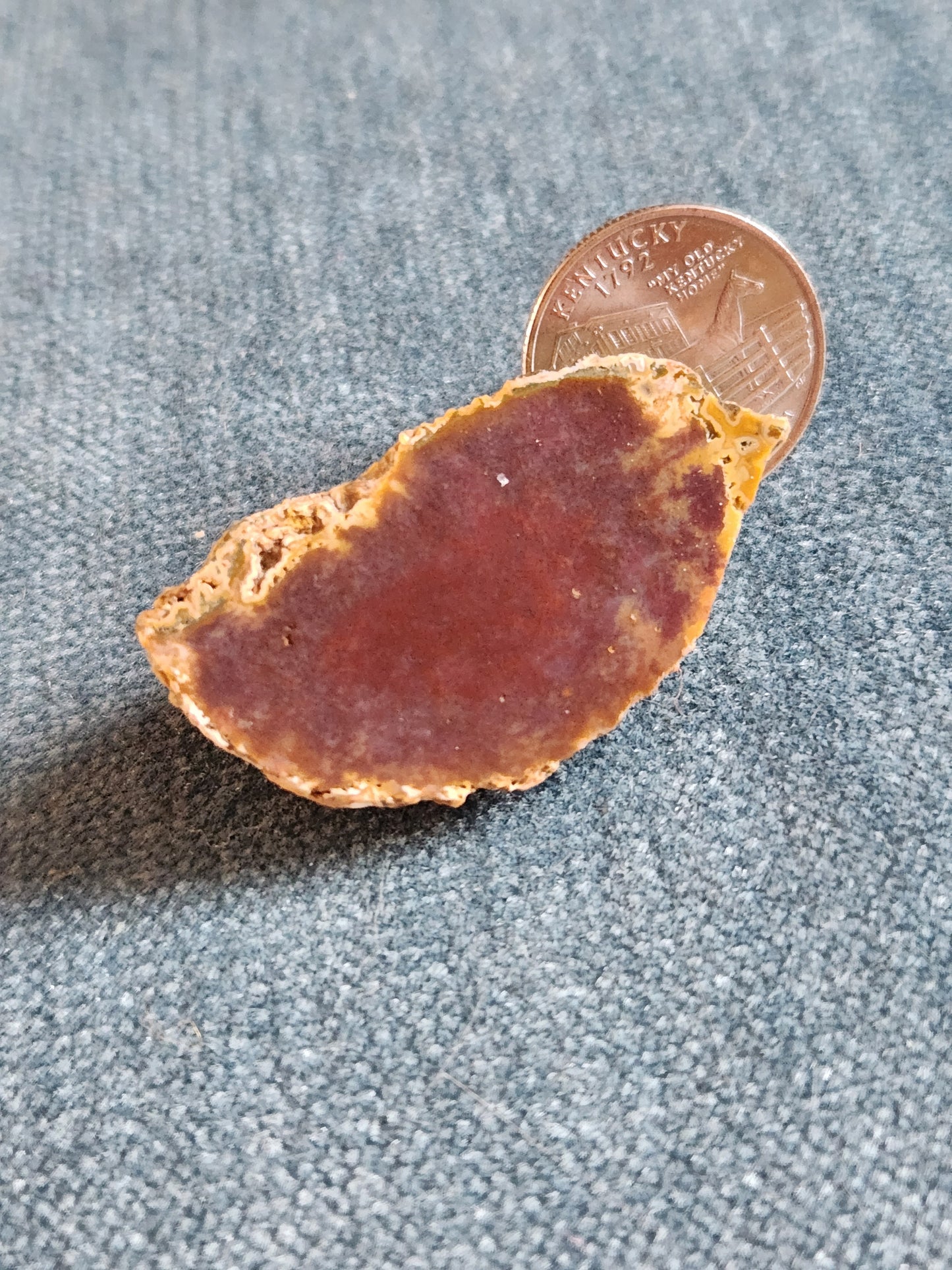 Kentucky Agate - Polished