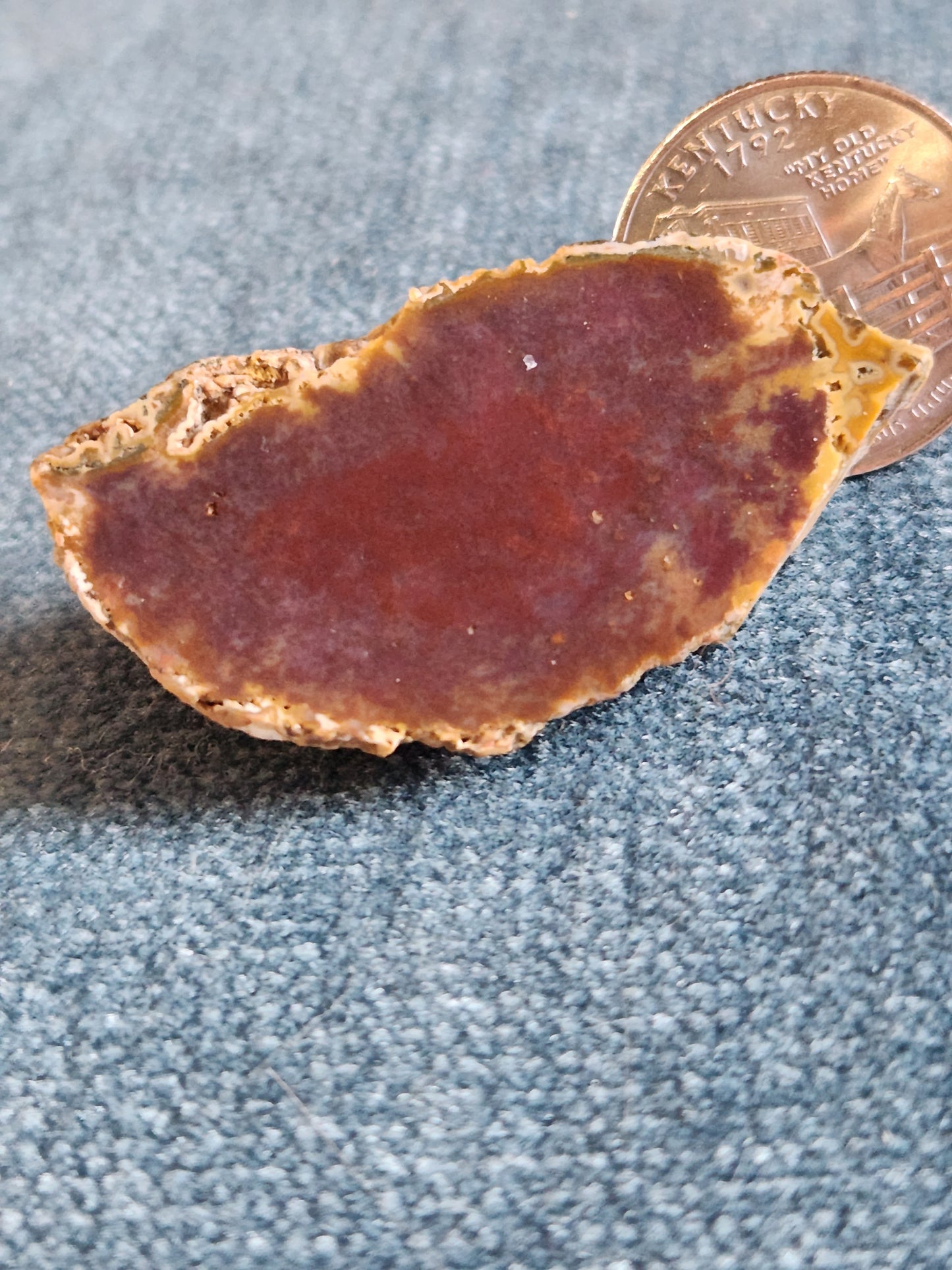 Kentucky Agate - Polished