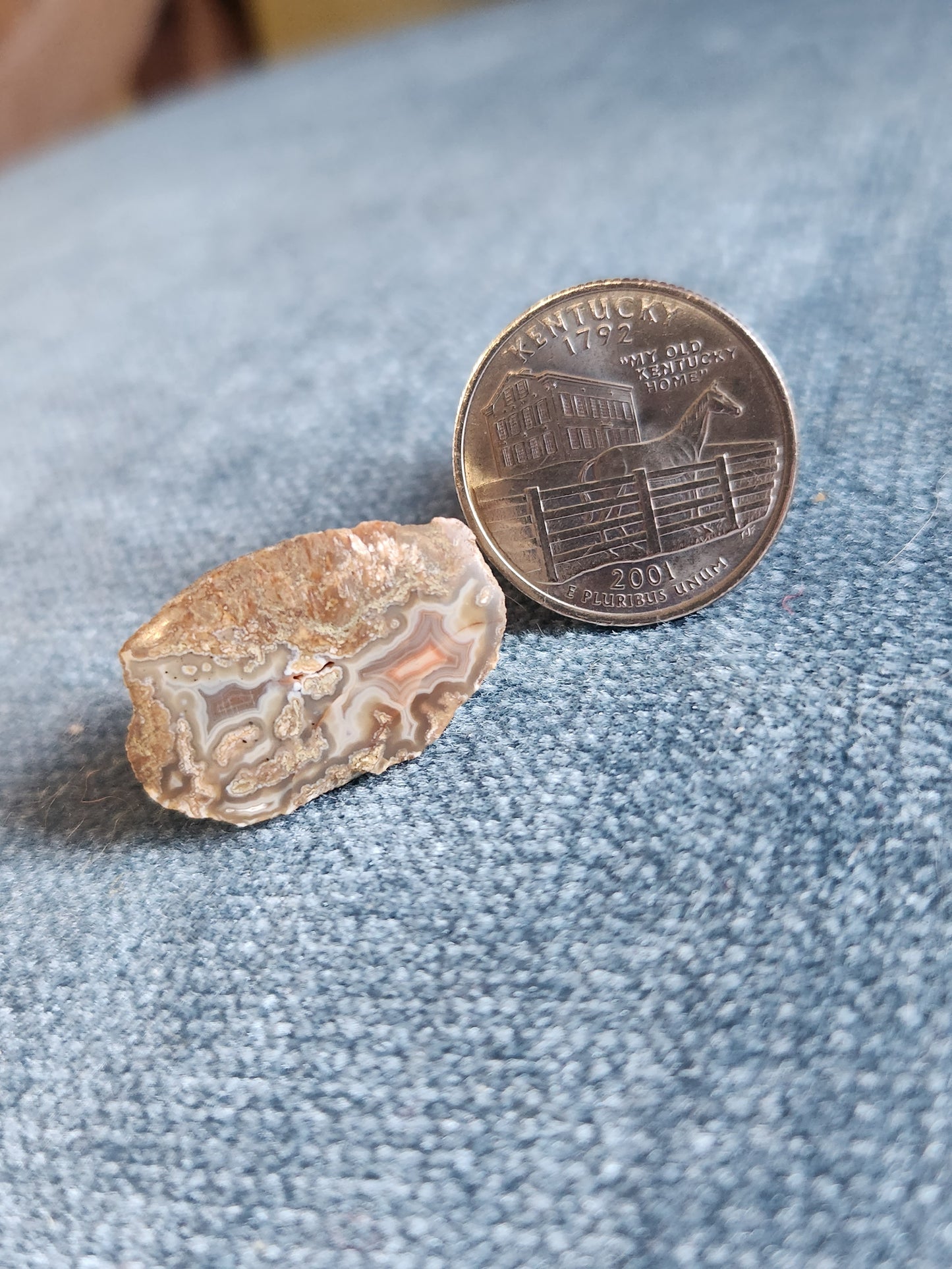 Kentucky Agate - Polished Mini