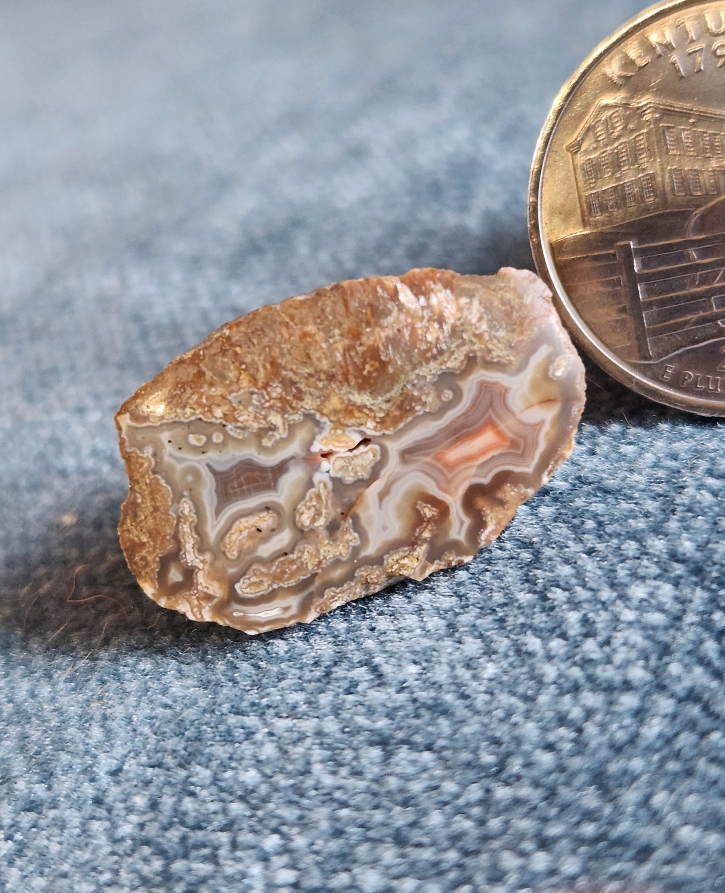 Kentucky Agate - Polished Mini