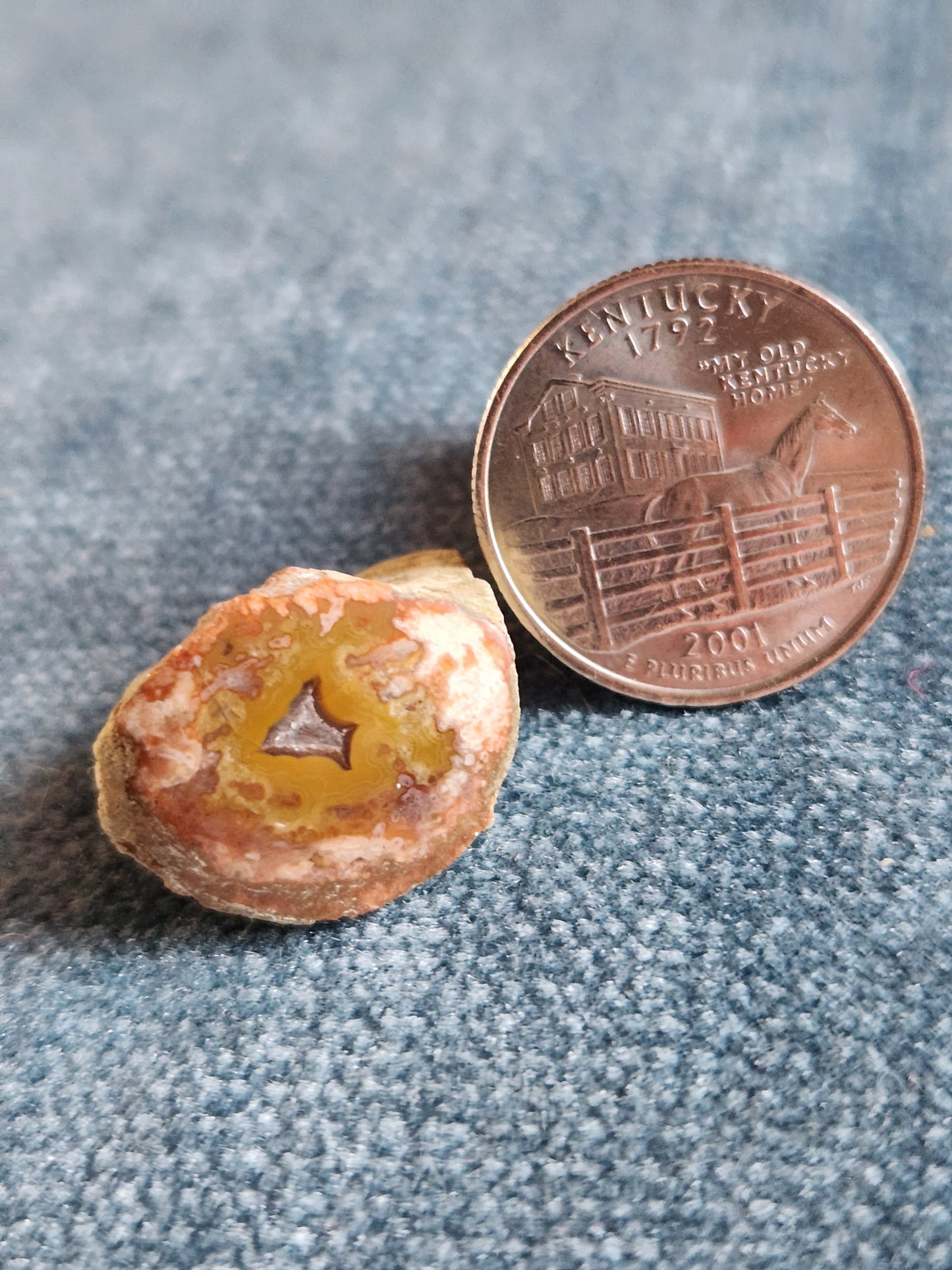 Kentucky Agate - Polished Mini