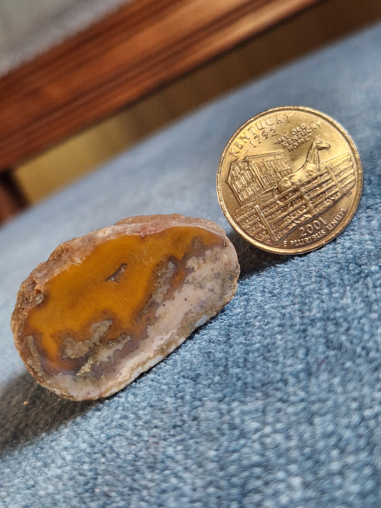 Kentucky Agate - Polished