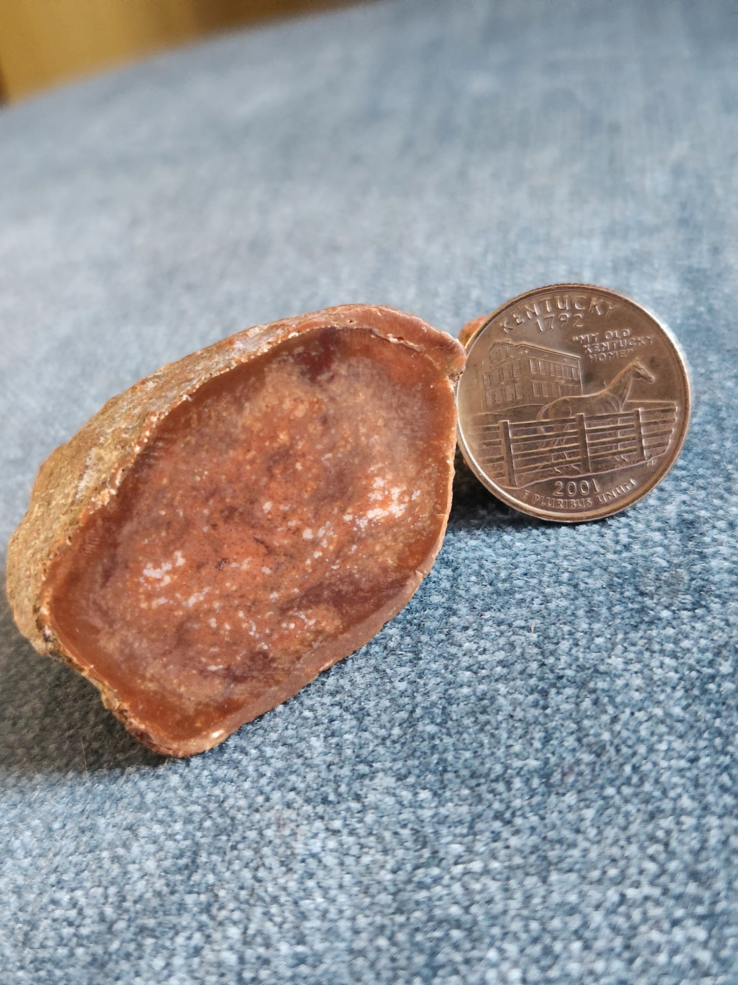 Kentucky Agate - Polished