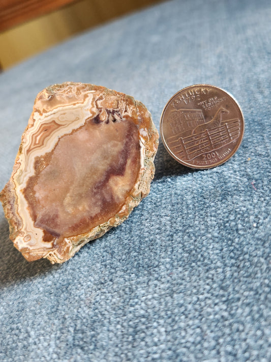 Kentucky Agate - Polished