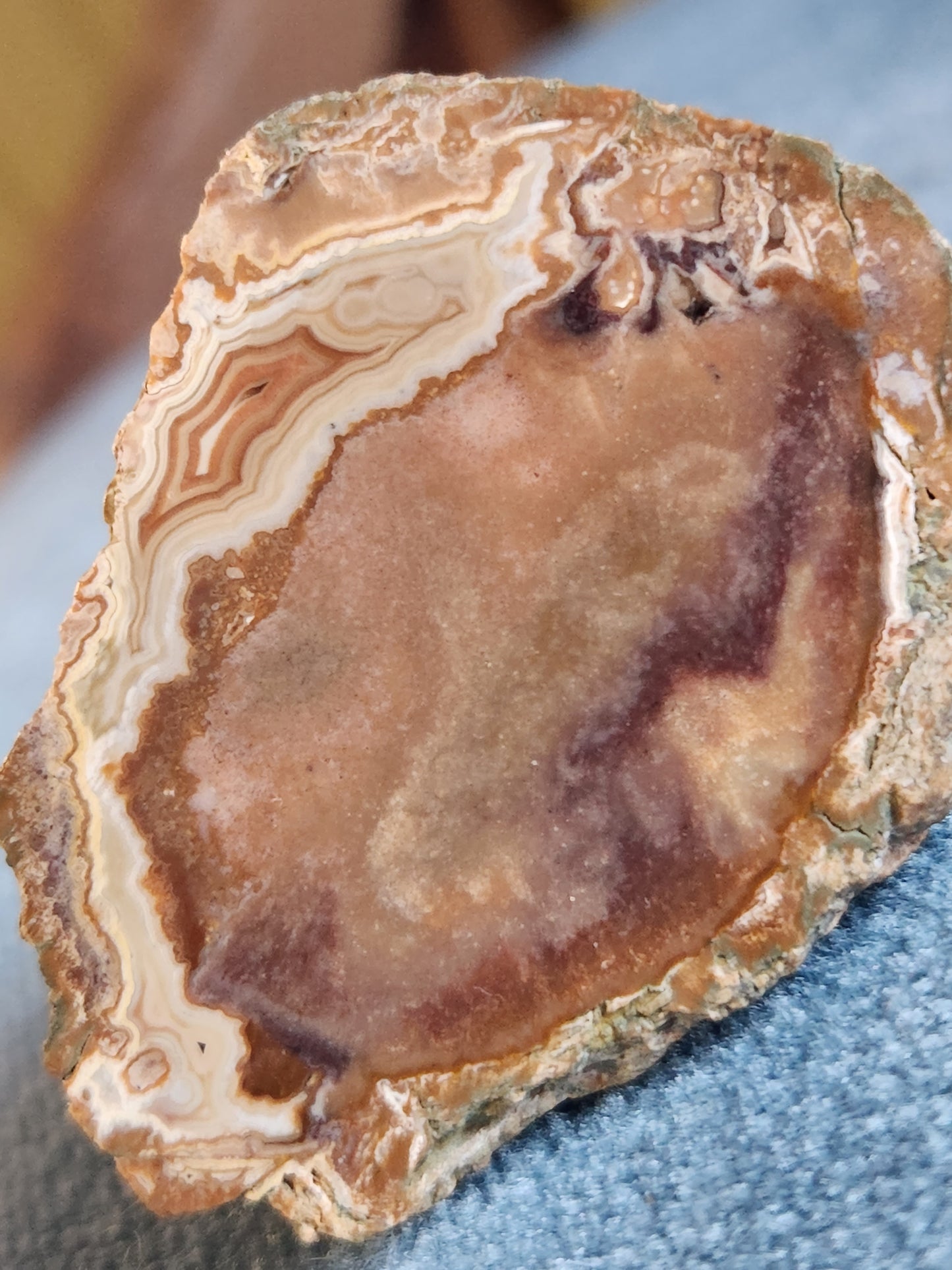 Kentucky Agate - Polished