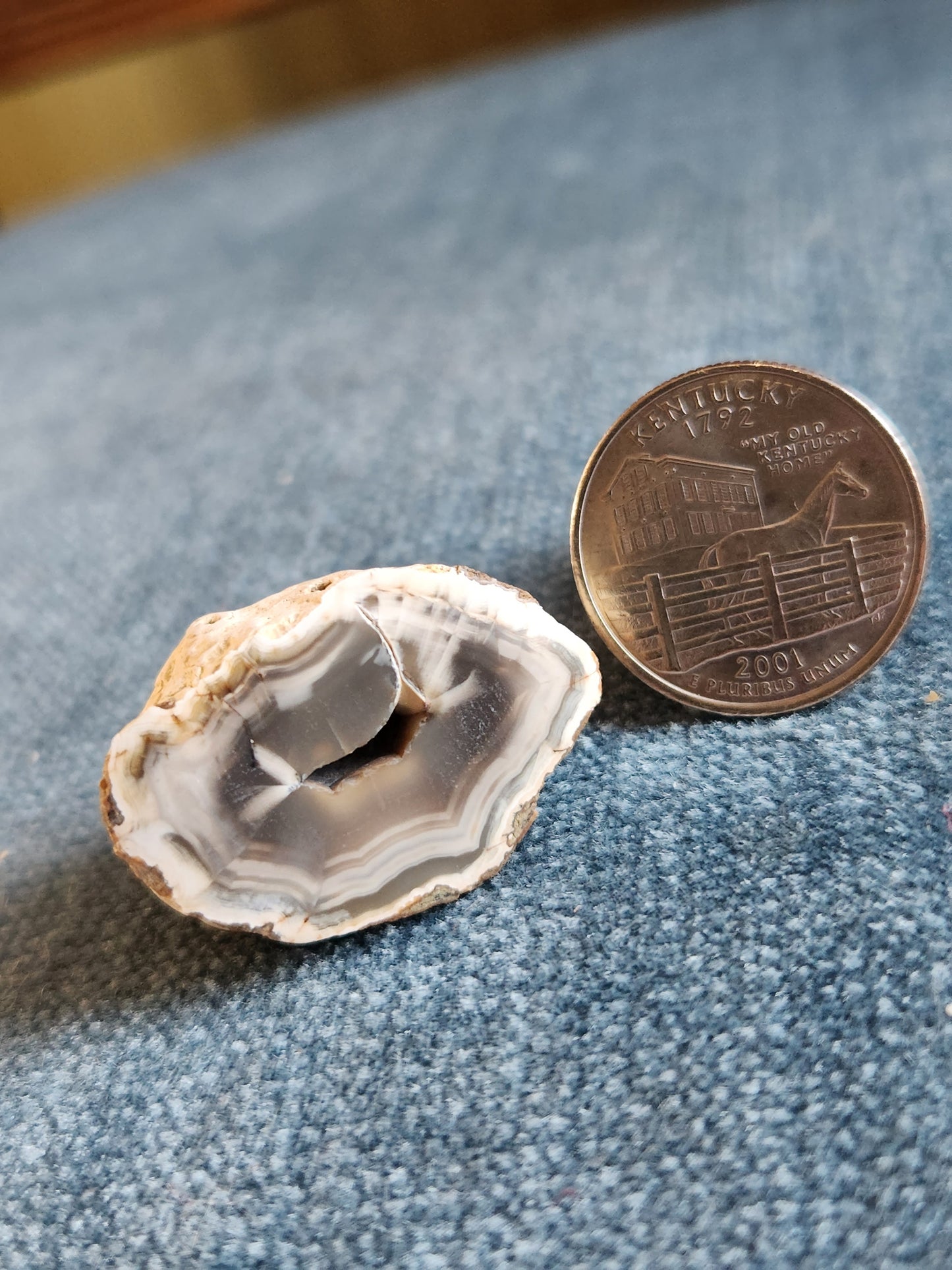 Kentucky Agate - Polished Mini