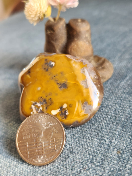 Kentucky Agate Tumble