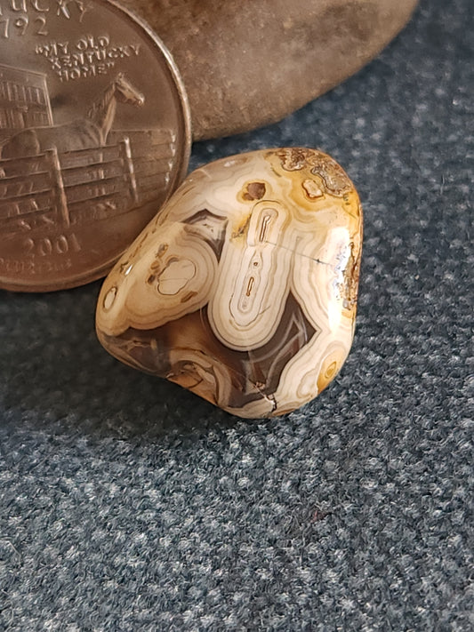 Mini Kentucky Agate Tumble