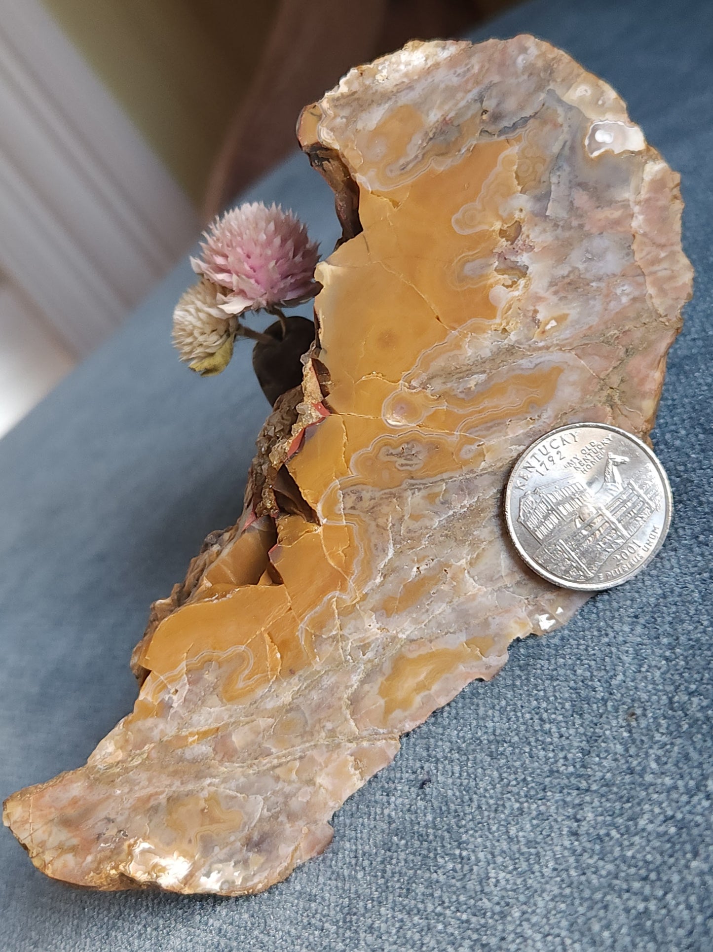 Kentucky Agate Rough Slab