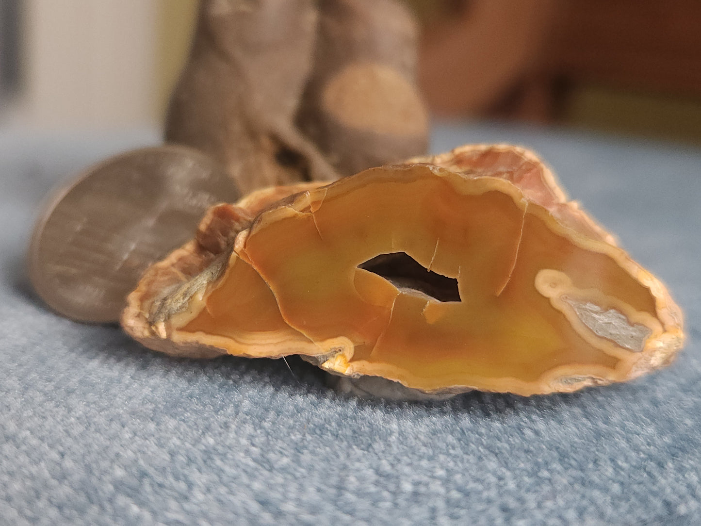 Kentucky Agate - Polished