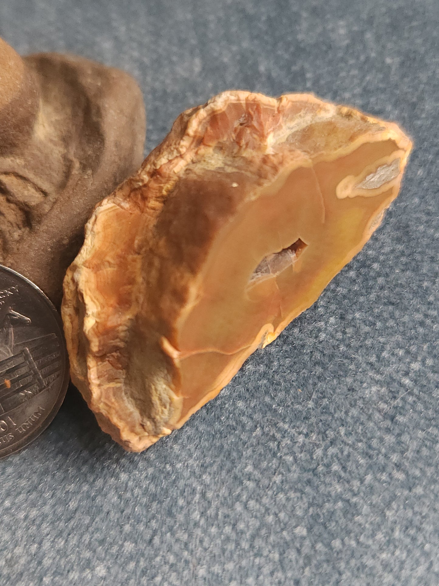 Kentucky Agate - Polished