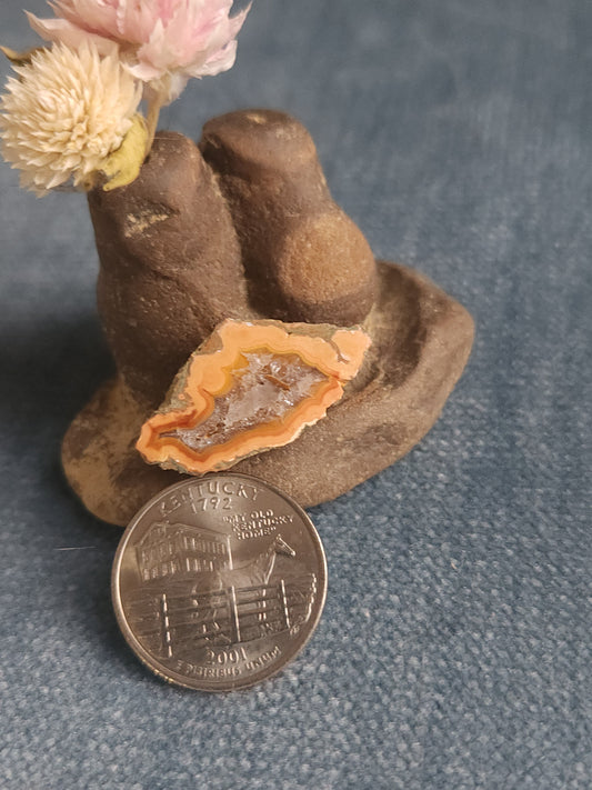 Kentucky Agate - Polished Mini