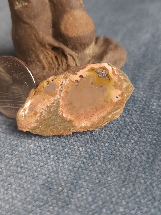 Kentucky Agate - Polished