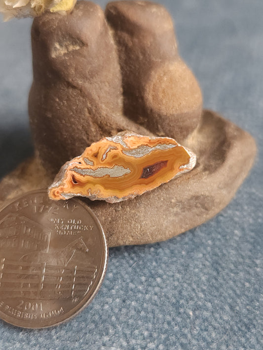 Kentucky Agate - Polished Mini