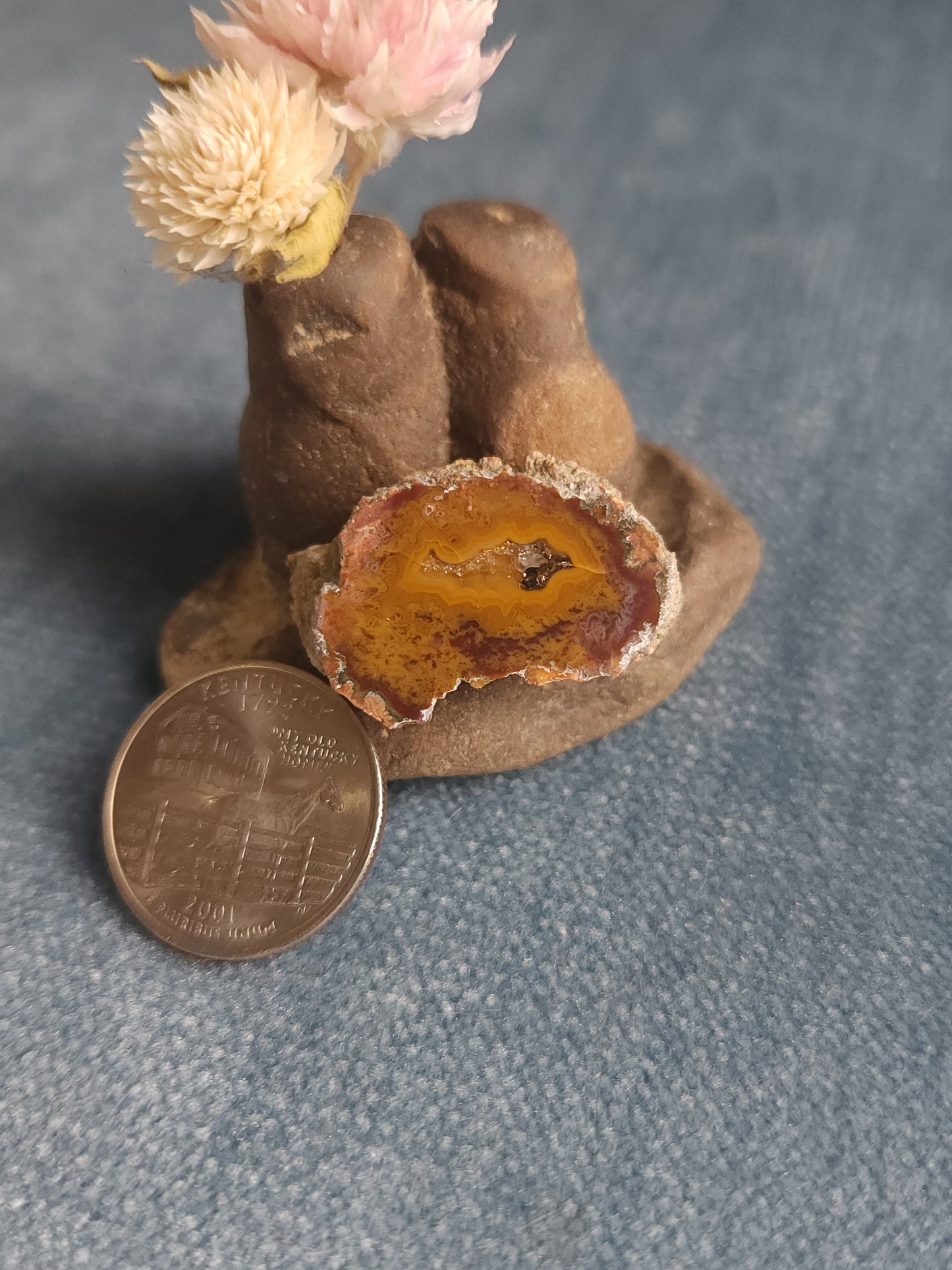 Kentucky Agate - Polished Mini