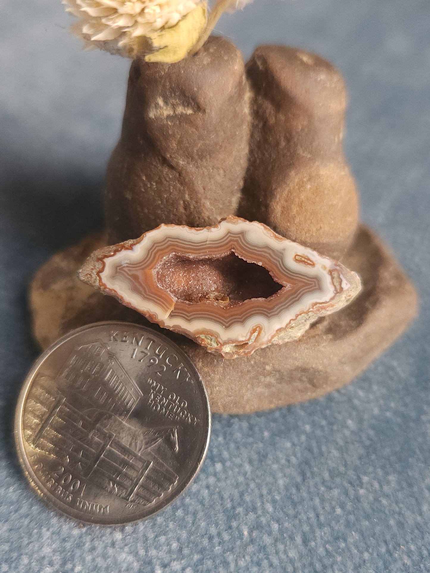 Kentucky Agate - Polished Mini