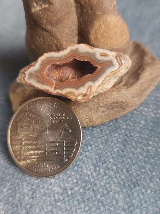 Kentucky Agate - Polished Mini