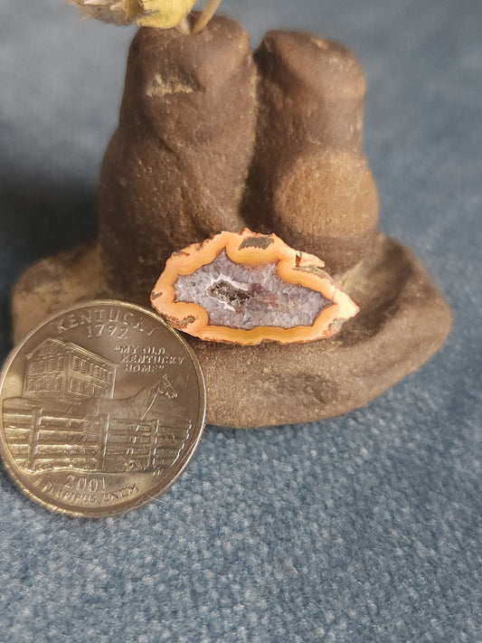 Kentucky Agate - Polished Mini