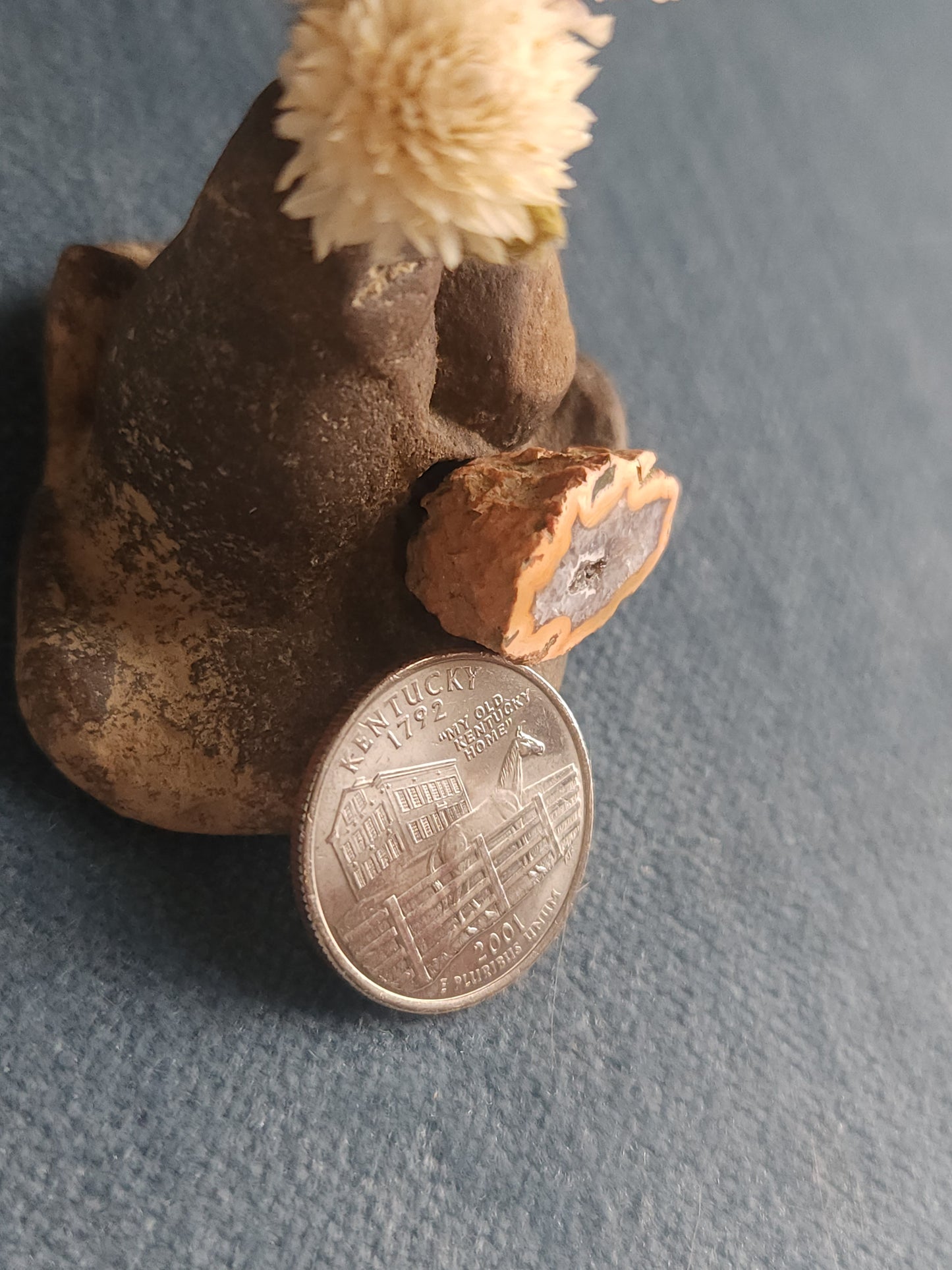 Kentucky Agate - Polished Mini