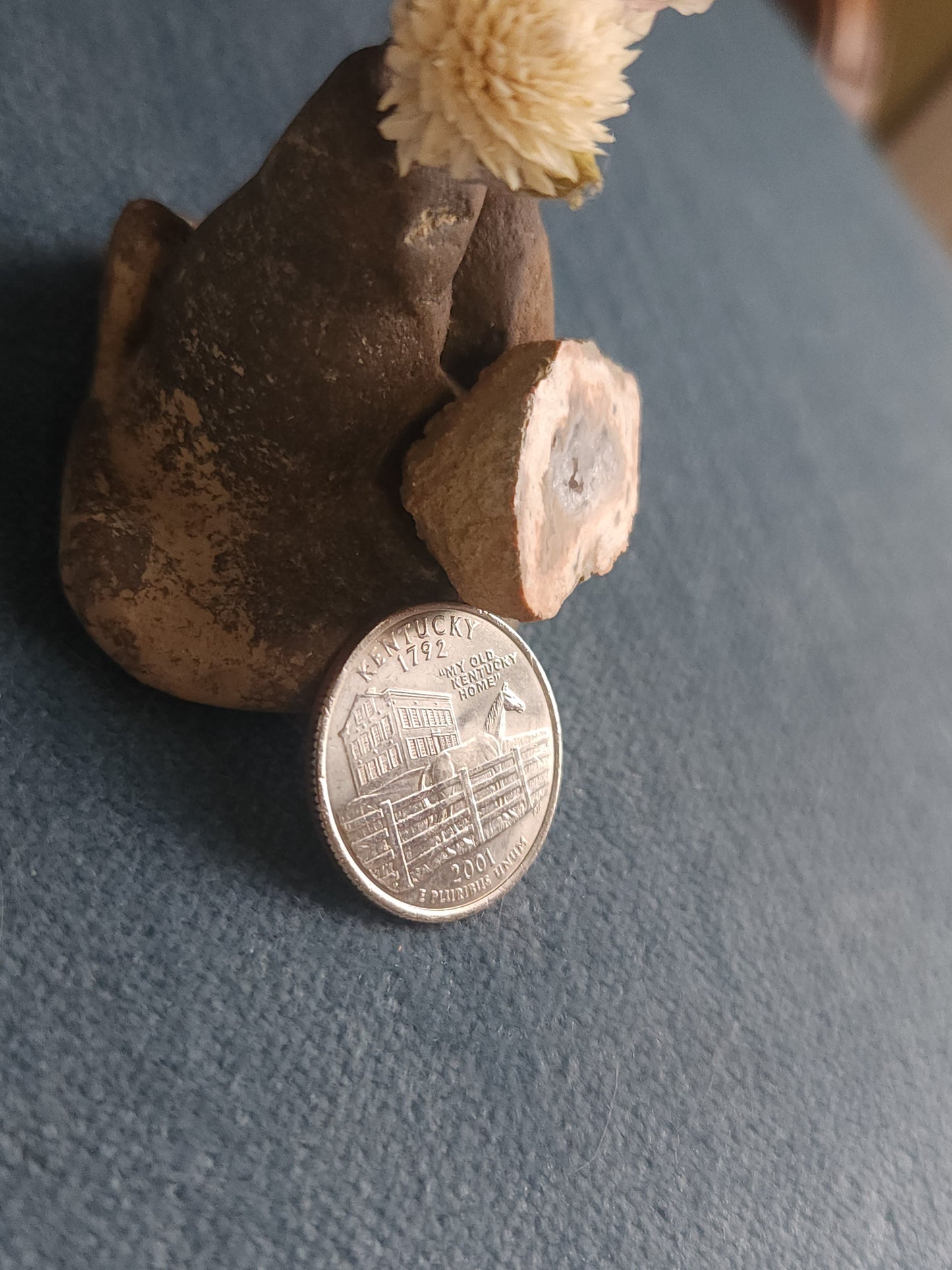 Kentucky Agate - Polished Mini