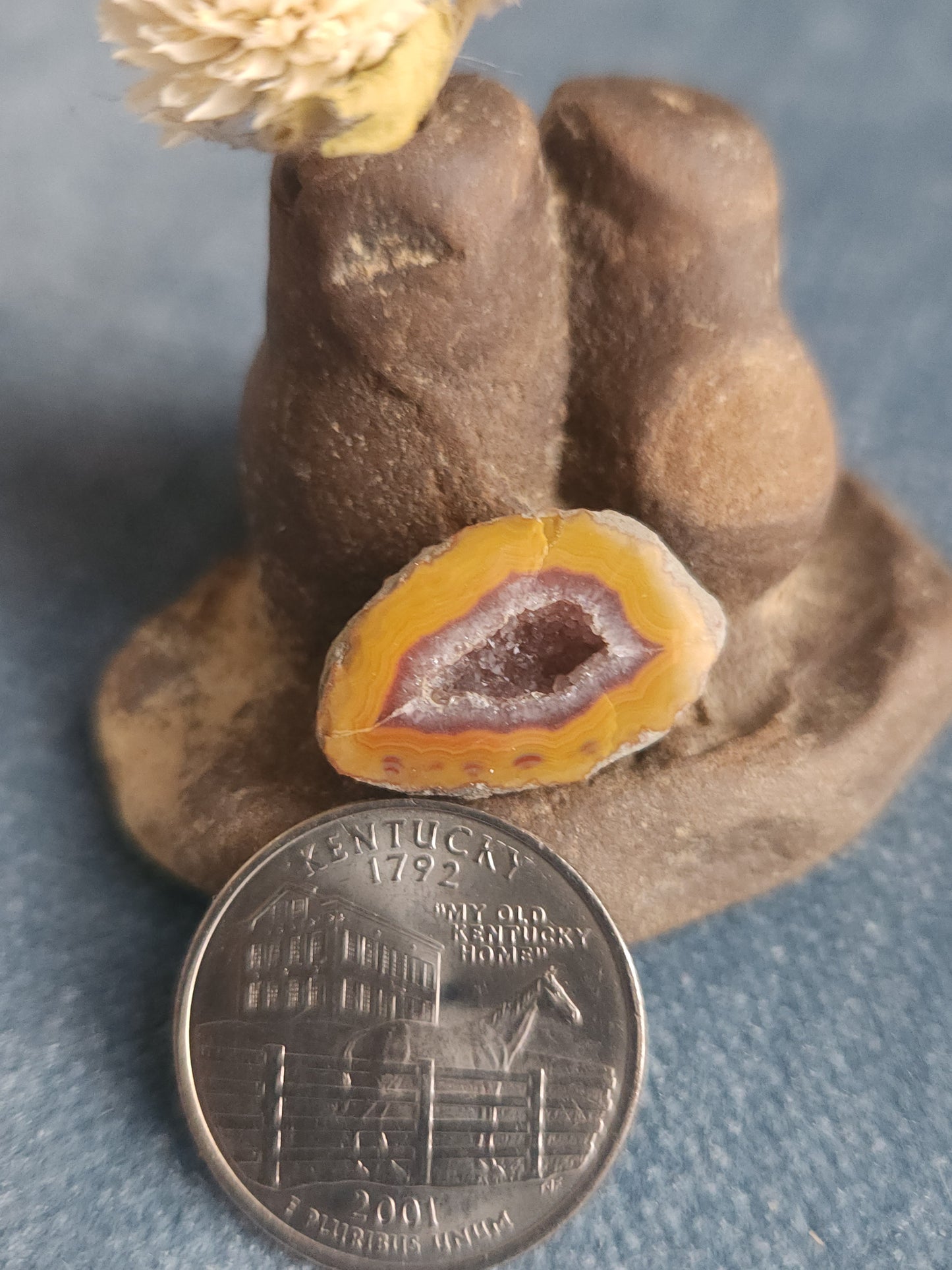 Kentucky Agate - Polished Mini