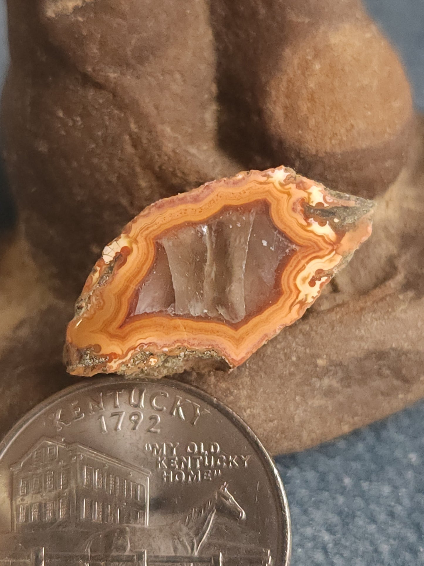 Kentucky Agate - Polished Mini