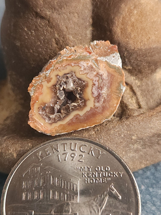 Kentucky Agate - Polished Mini