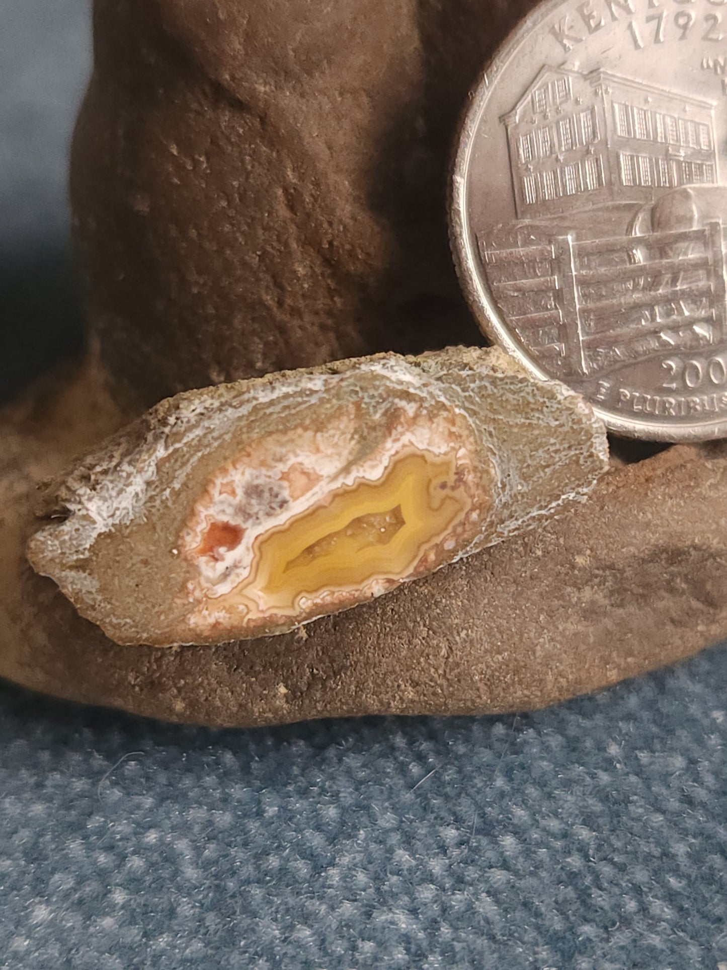 Kentucky Agate - Polished Mini