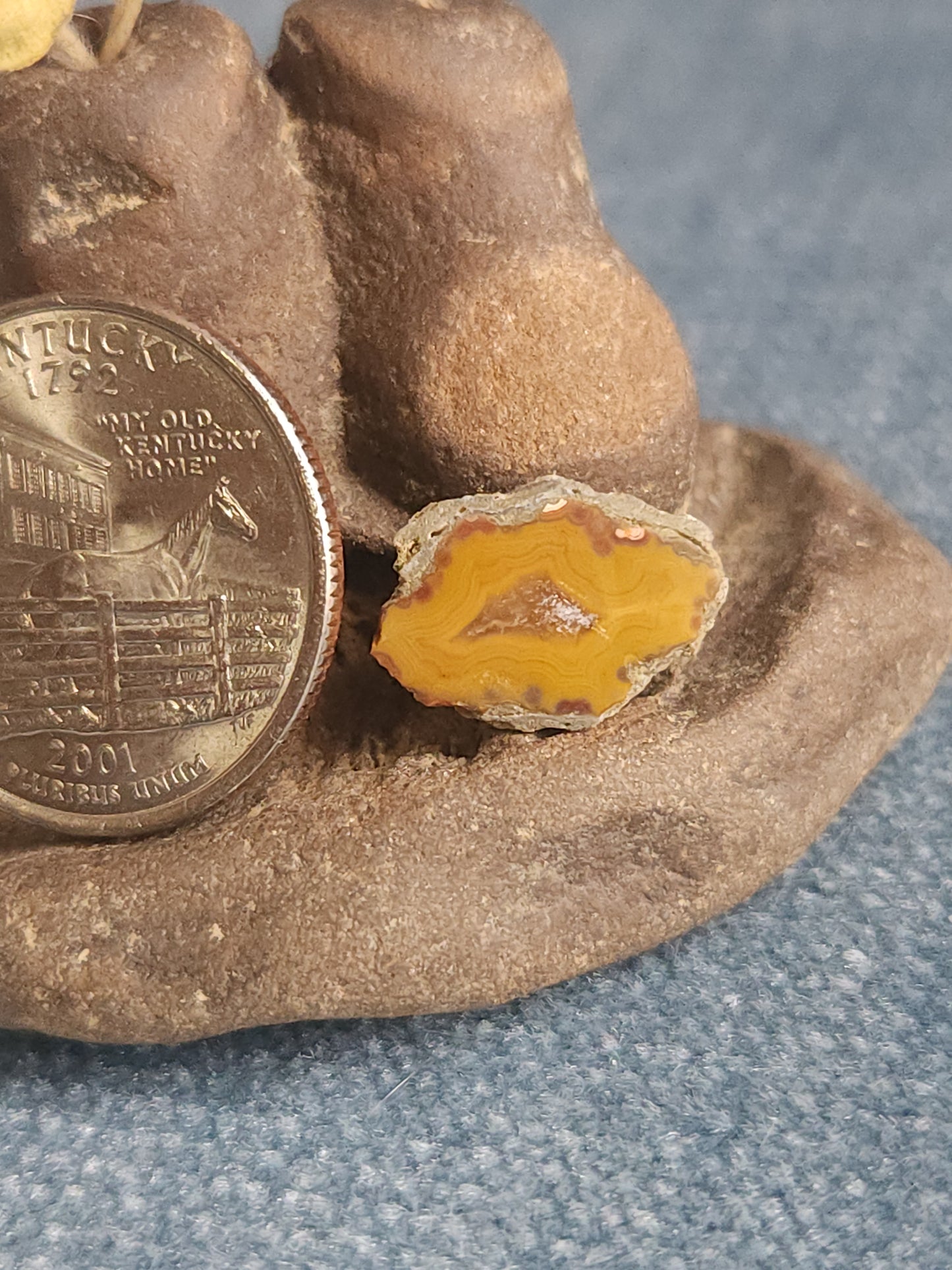 Kentucky Agate - Polished Mini