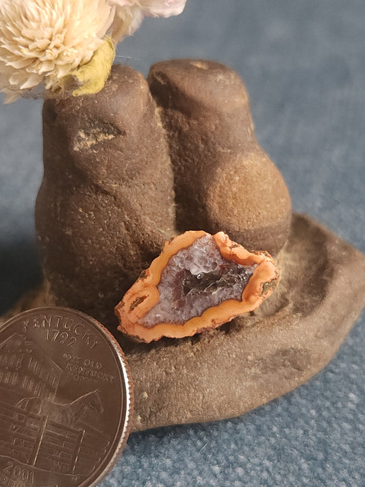 Kentucky Agate - Polished Mini