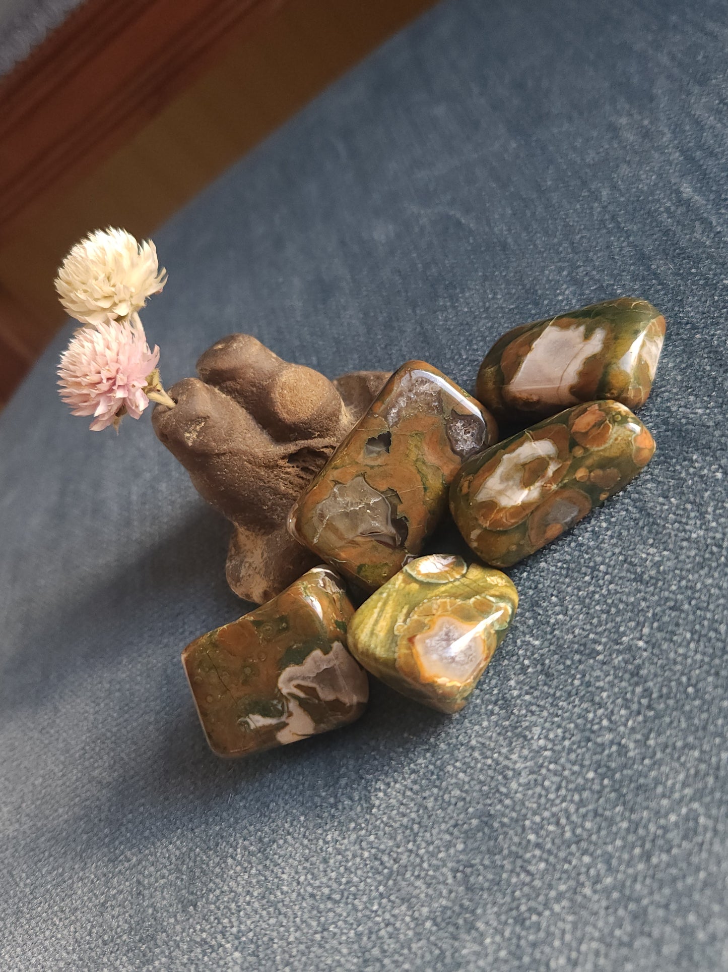 Rainforest Jasper Tumbles - Set A