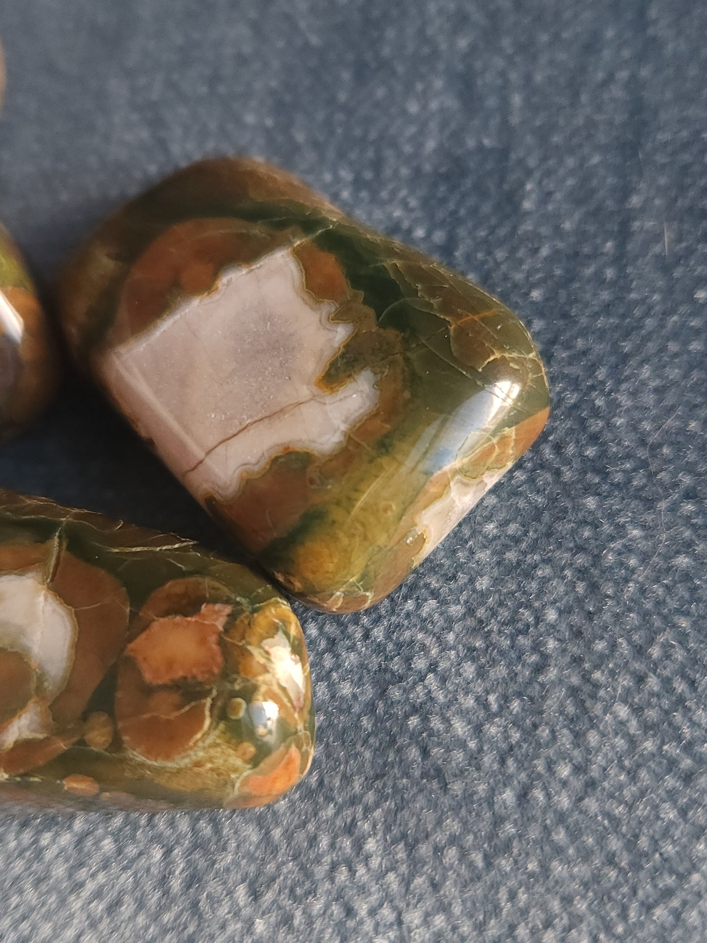 Rainforest Jasper Tumbles - Set A