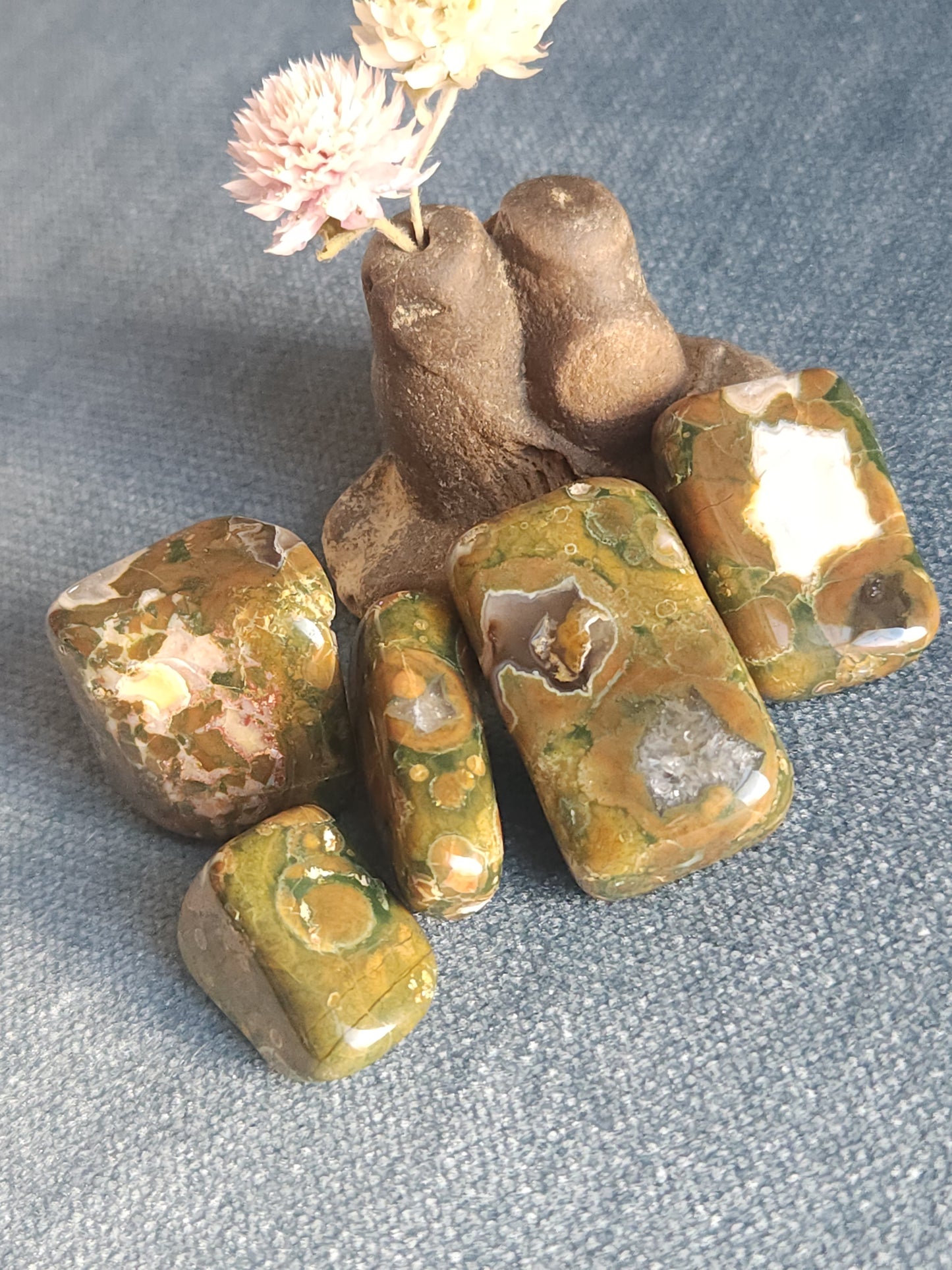 Rainforest Jasper Tumbles - Set A