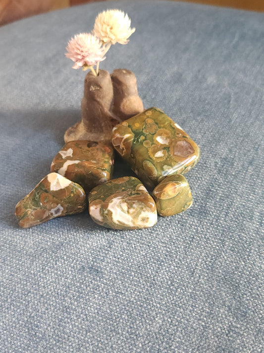 Rainforest Jasper Tumbles - Set C