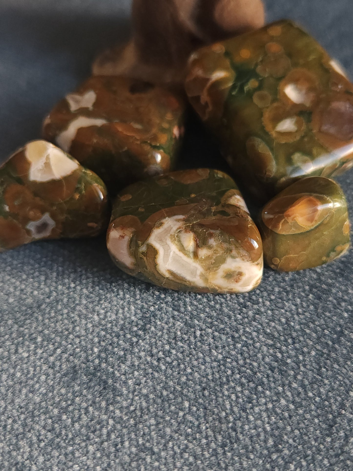 Rainforest Jasper Tumbles - Set C