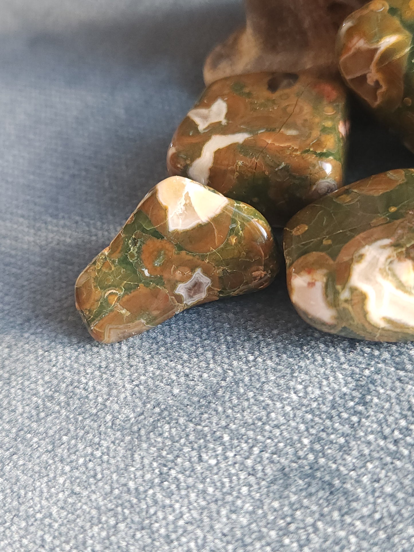 Rainforest Jasper Tumbles - Set C