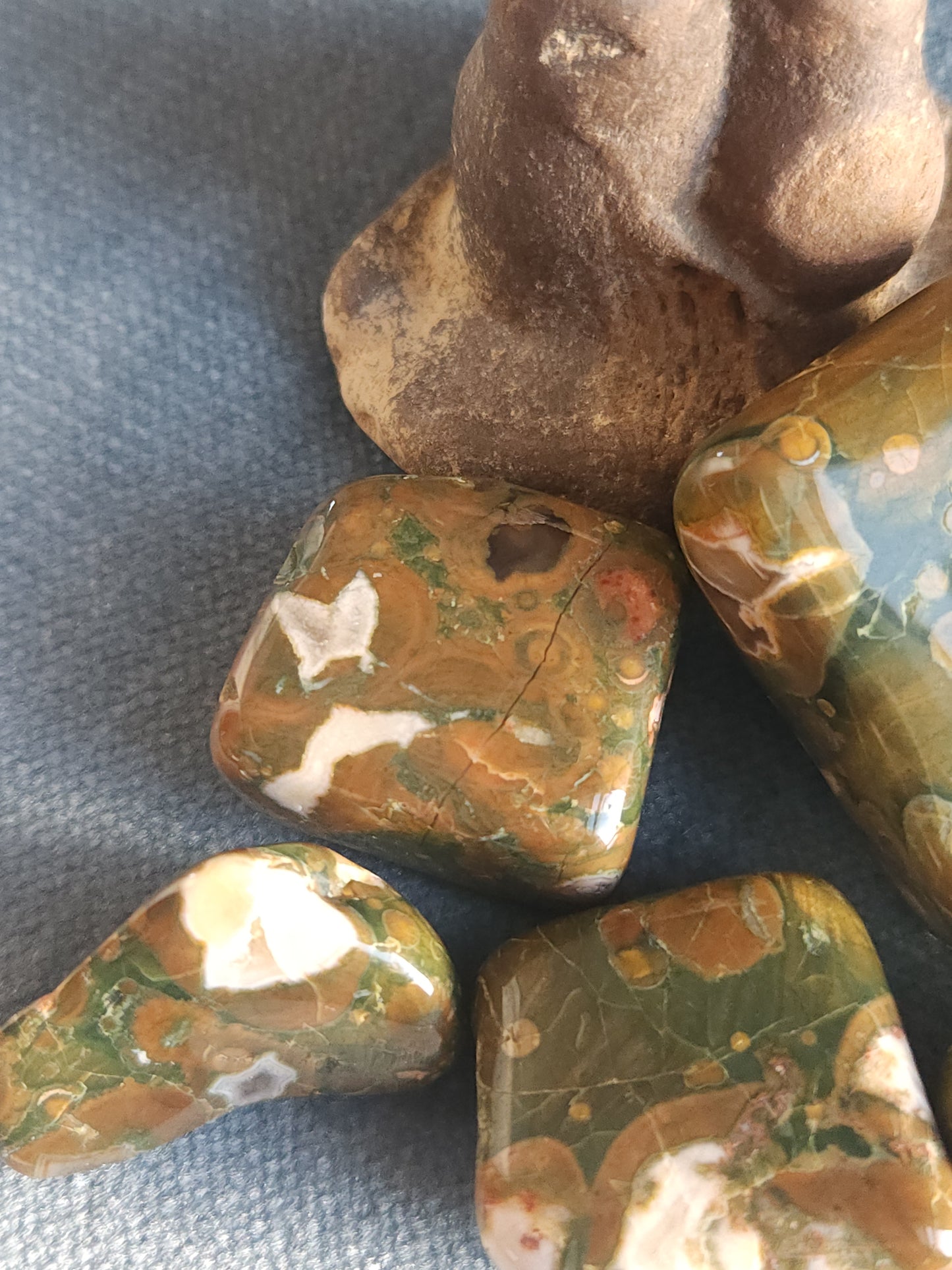 Rainforest Jasper Tumbles - Set C