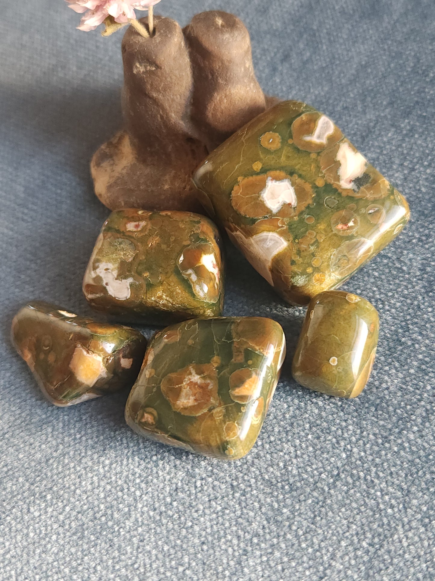 Rainforest Jasper Tumbles - Set C